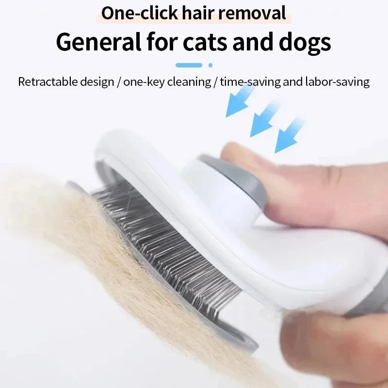 PawCian Pro - Self-Cleaning Brush